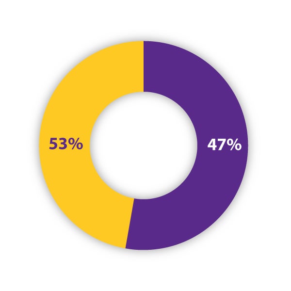 Pie chart representing the distribution of credits completed by students upon entering the program. The chart consists of two segments: 47% labeled in purple, indicating students with 75-90 credits completed, and 53% labeled in gold, indicating students with 91 or more credits completed. The percentages reflect the proportion of students in each credit range.