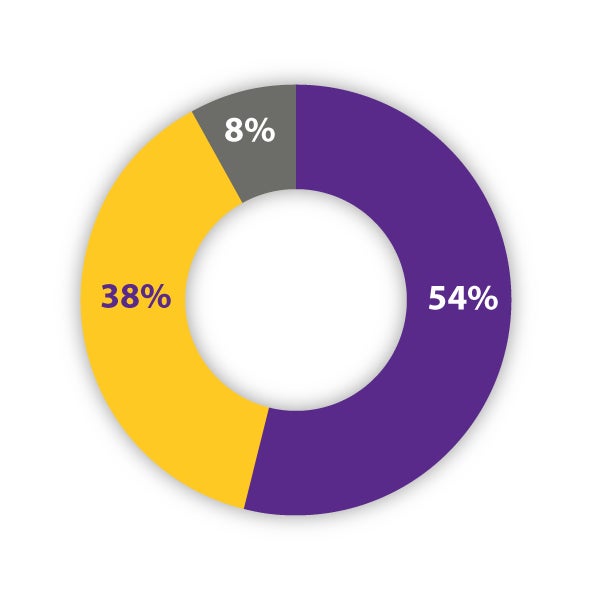 Pie chart illustrating post-graduation statistics. The chart has three segments: 38% in purple representing the employment rate, 8% in gray representing simultaneous employment and enrollment in a program of continuing education, and 54% in gold indicating enrollment in a program of continuing education. The percentages denote the distribution of post-graduation outcomes among the surveyed population.